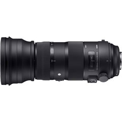 Sigma S 150-600mm F5-6.3 DG OS HSM EO [150-600mm F5-6.3 DG OS HSM (Sports) Canon]