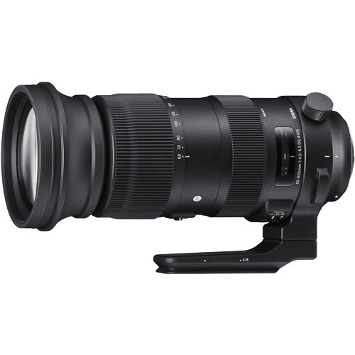 Sigma S 60-600mm F4.5-6.3 DG OS HSM NA [60-600mm F4.5-6.3 DG OS HSM (Sports) Nikon]