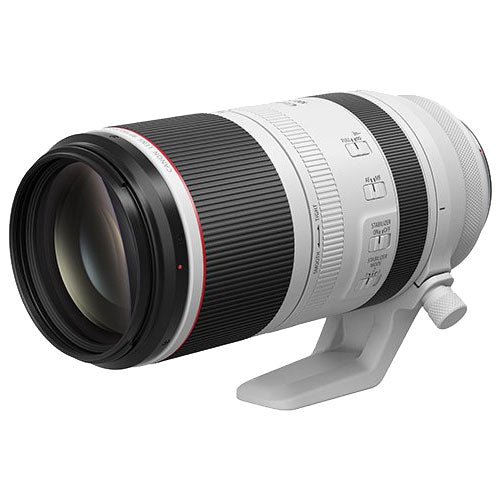 Canon RF100-500mm F4.5-7.1 L IS USM