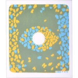 Kenko COKIN P Series 83 × 100mm square center spot filter blue & yellow P674 [200674]