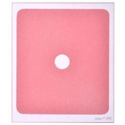 Kenko COKIN P Series 83 x 100mm square center spot filter P068 Red [200068]