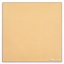 Kenko COKIN P Series 83 × 83mm square Color Filter Warm 81EF P037 [200037]