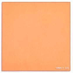 Kenko COKIN P Series 83 × 83mm square full color filter orange 85 P029 [200029]