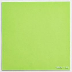 Kenko COKIN P Series 83 × 83mm square Color Filter Yellow Green P006 [200006]